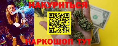 apvp Краснодар