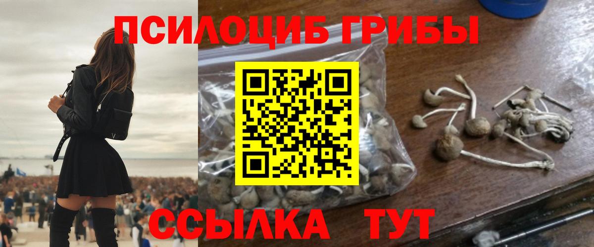 Псилоцибиновые грибы Cubensis Еманжелинск